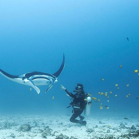 Blue Marlin Dive Komodo لابوان باجو المظهر الخارجي الصورة