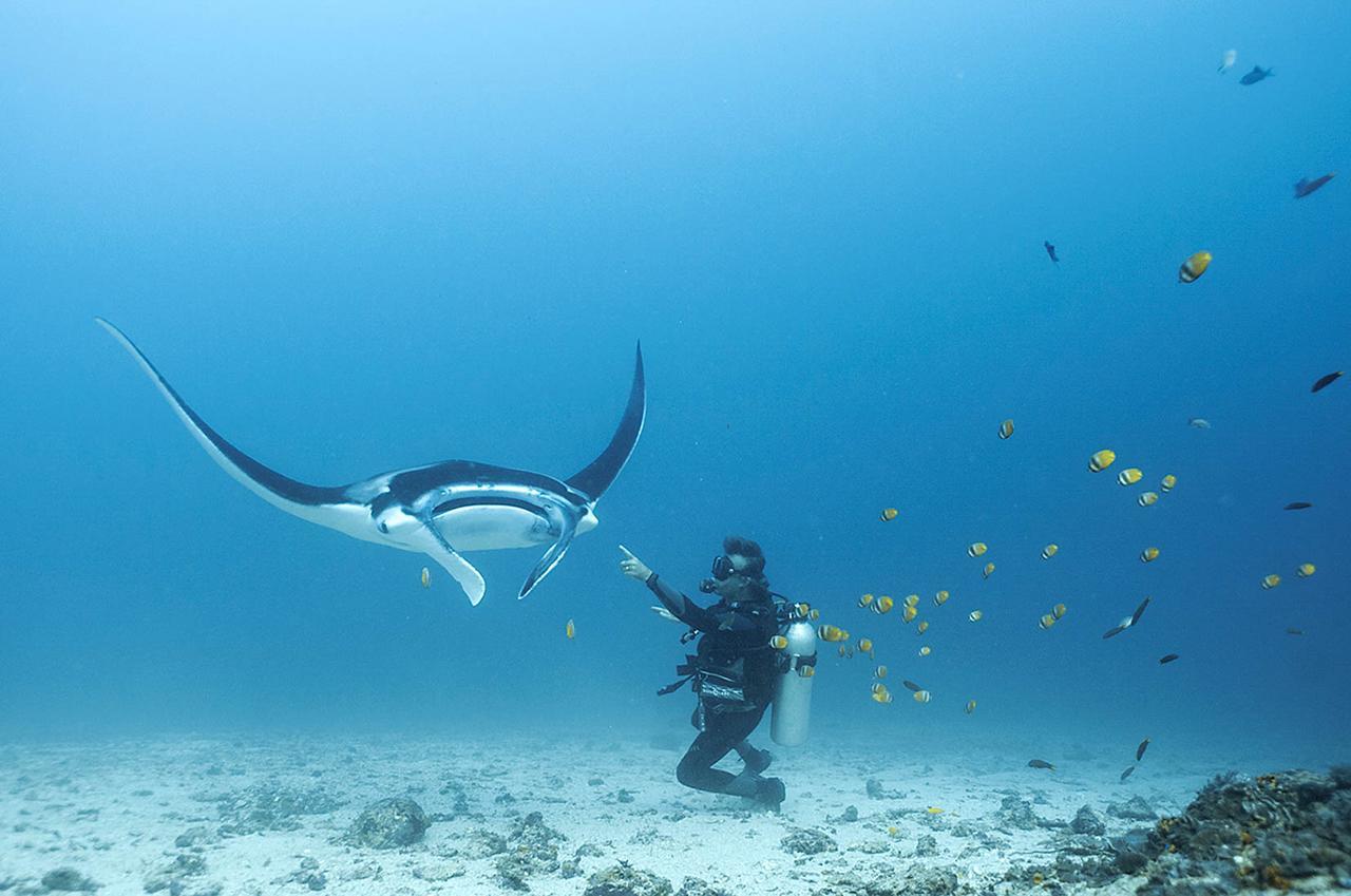 Blue Marlin Dive Komodo لابوان باجو المظهر الخارجي الصورة